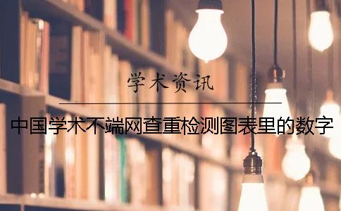 中国学术不端网查重检测图表里的数字