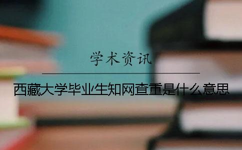 西藏大学毕业生知网查重是什么意思