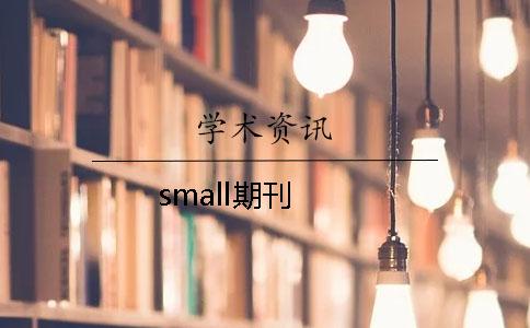 small期刊