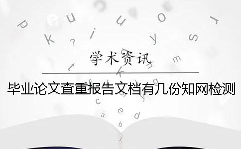 毕业论文查重报告文档有几份知网检测结果